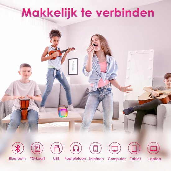 Cefsy Pro Bluetooth Karaoke set