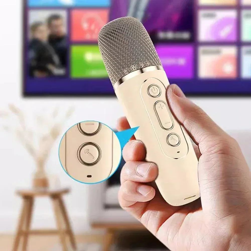 Cefsy Pro Bluetooth Karaoke set